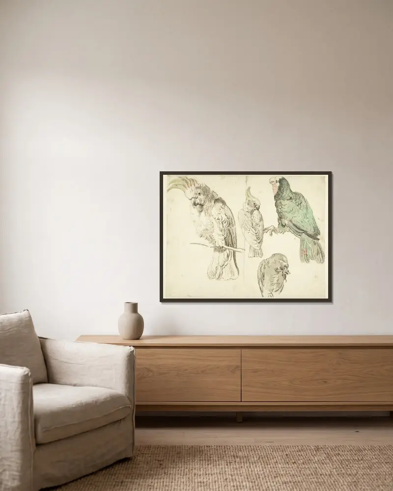 Four Studies of Cockatoos av Jan Weenix inramad på en vägg