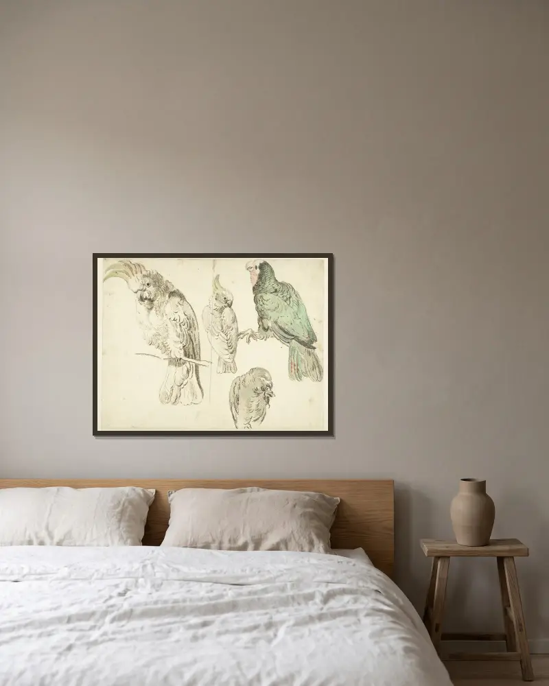 Four Studies of Cockatoos av Jan Weenix inramad på en vägg