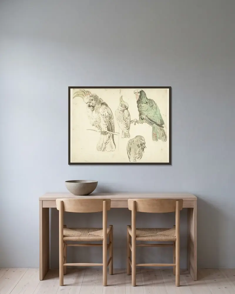 Four Studies of Cockatoos av Jan Weenix inramad på en vägg