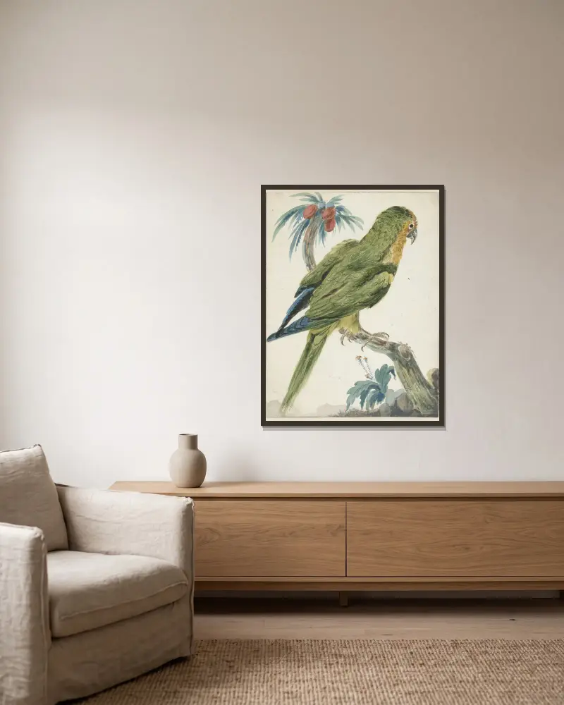 Goldstirnsittich (Bolborhyuchus aurifrons) von Jan Weenix gerahmt an einer Wand