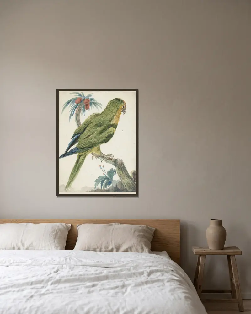 Goldstirnsittich (Bolborhyuchus aurifrons) von Jan Weenix gerahmt an einer Wand