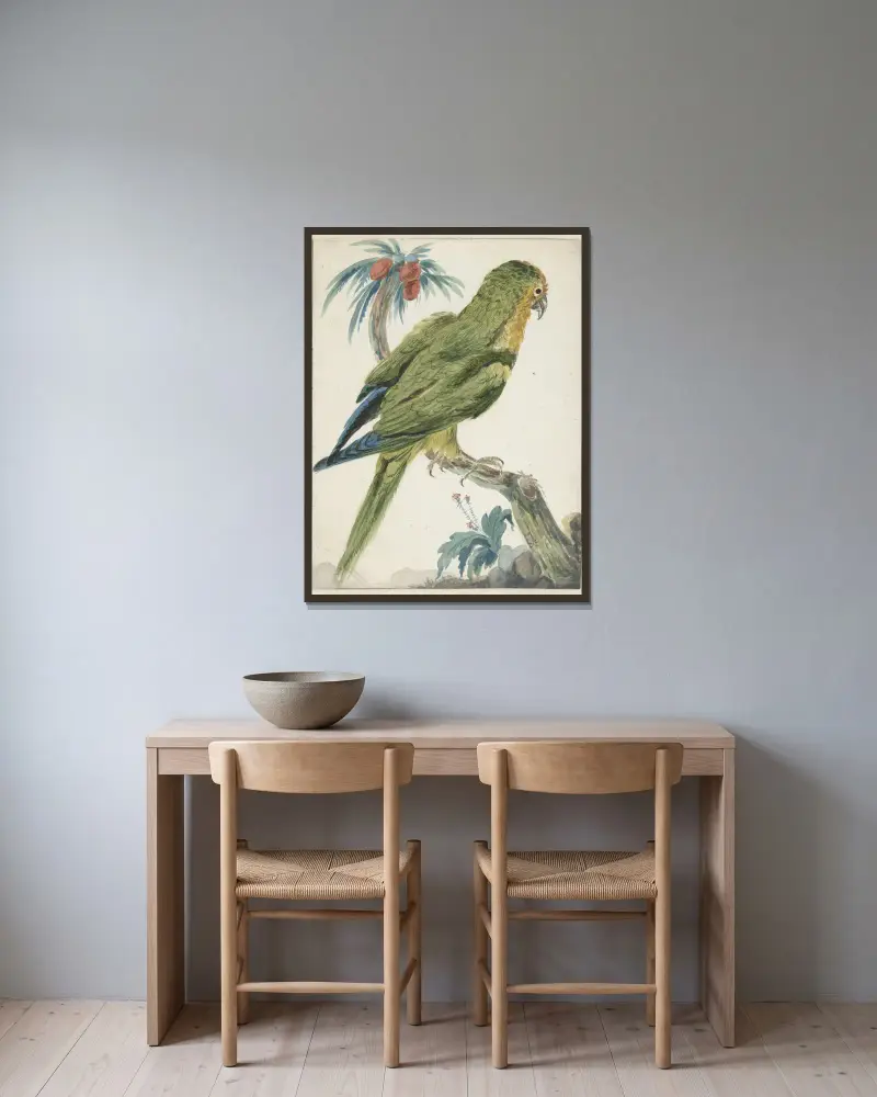 Goldstirnsittich (Bolborhyuchus aurifrons) von Jan Weenix gerahmt an einer Wand