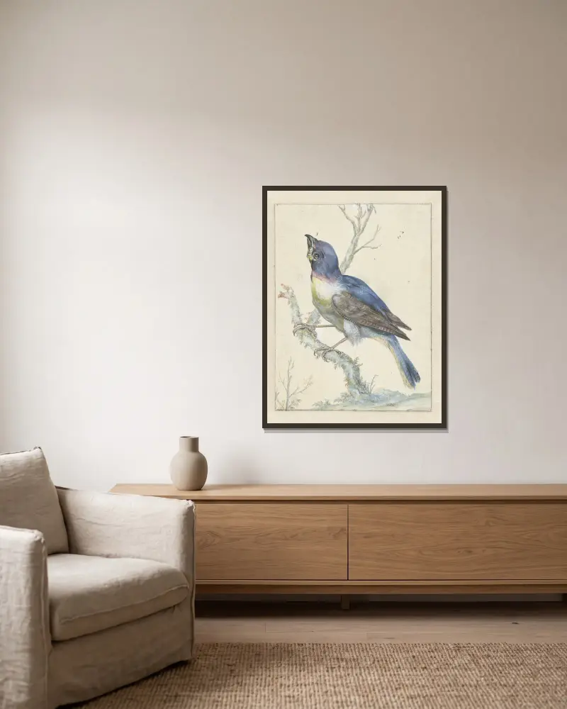 Lazuli Bunting, Jan Weenix v rámu na stěně