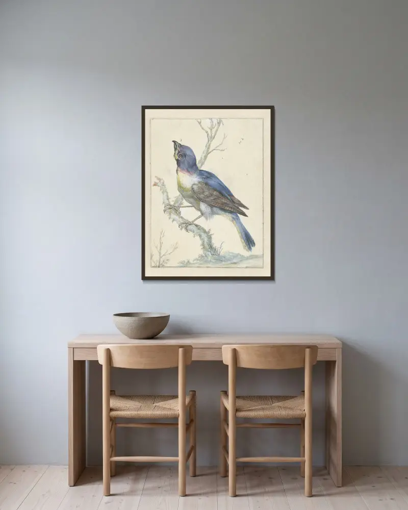 Lazuli Bunting, Jan Weenix v rámu na stěně