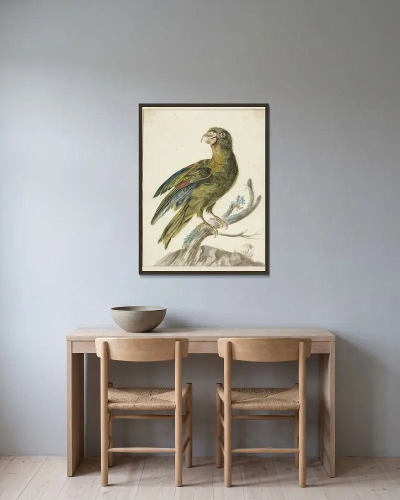 Papoušek, Jan Weenix v rámu na stěně