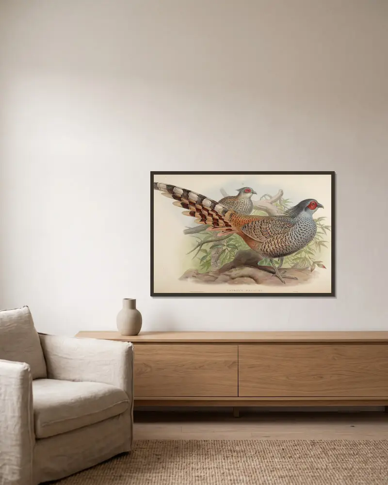 Cheer (Catreus Wallichii), John Gould w ramie na ścianie