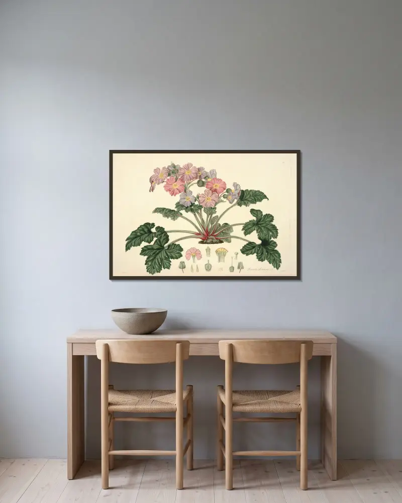 Collectanea botanica Pl.07 av John Lindley inramad på en vägg