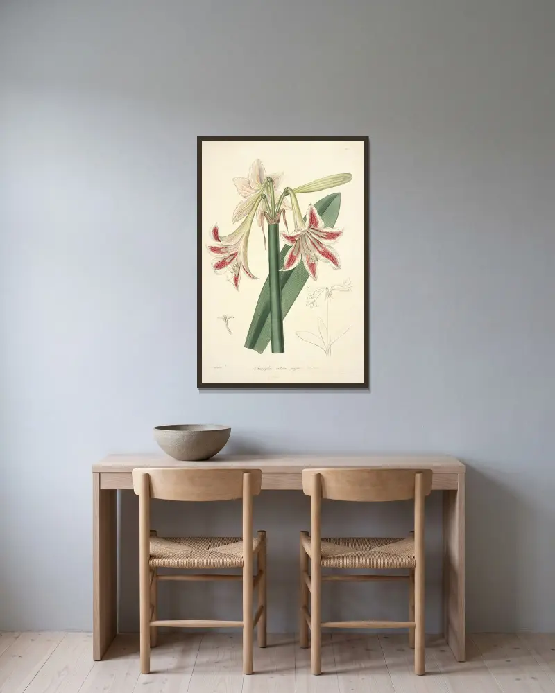 Collectanea botanica Pl.12 av John Lindley inramad på en vägg