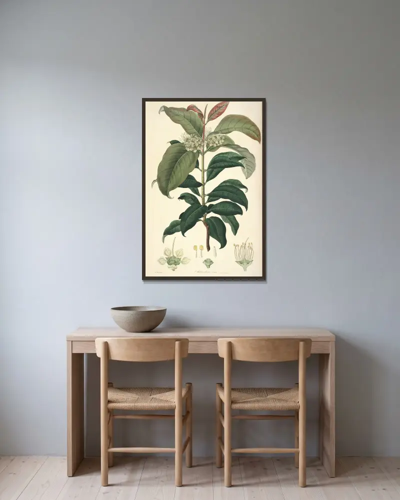 Collectanea botanica Pl.18 av John Lindley inramad på en vägg