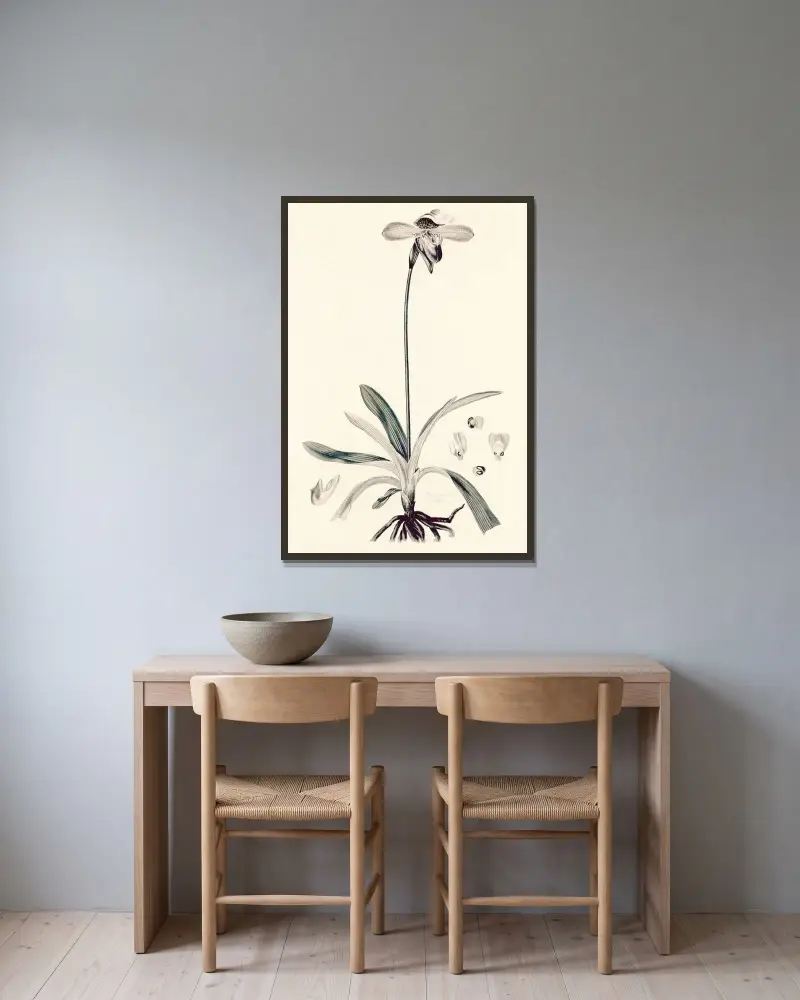 Collectanea botanica Pl.32 av John Lindley inramad på en vägg