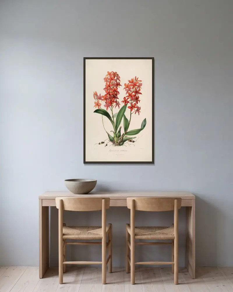 Sertum orchidaceum; A wreath of the most beautiful orchidaceous flowers Pl.45 von John Lindley gerahmt an einer Wand