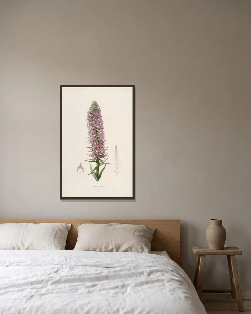 Sertum orchidaceum; A wreath of the most beautiful orchidaceous flowers Pl.44, John Lindley w ramie na ścianie