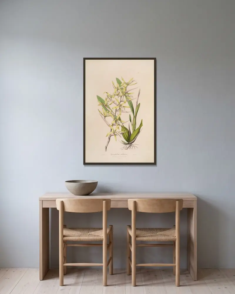 Sertum orchidaceum; wieniec z najpiękniejszych storczykowatych kwiatów, tabl. 07, John Lindley w ramie na ścianie