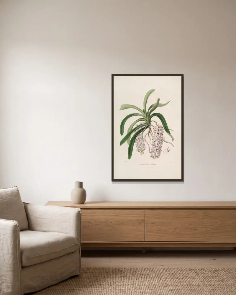 Sertum orchidaceum; Ein Kranz der schönsten orchideenartigen Blumen Pl.47 von John Lindley gerahmt an einer Wand