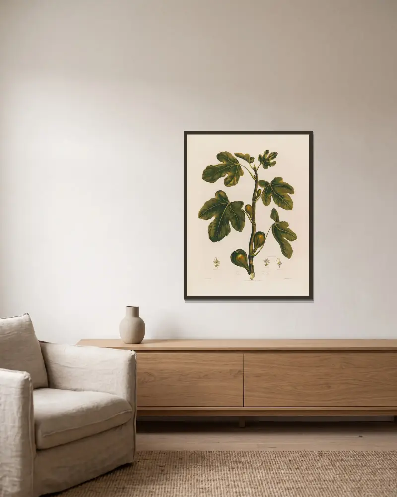 1. Ficus. The Fig. av Robert John Thornton inramad på en vägg