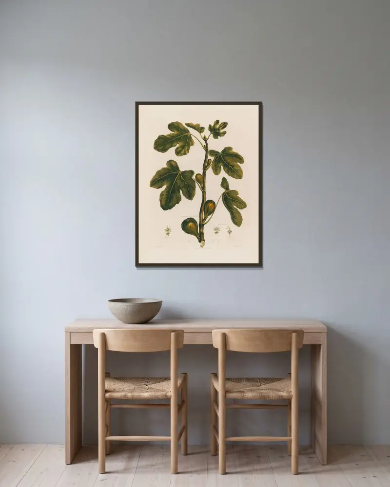 1. Ficus. The Fig. av Robert John Thornton inramad på en vägg
