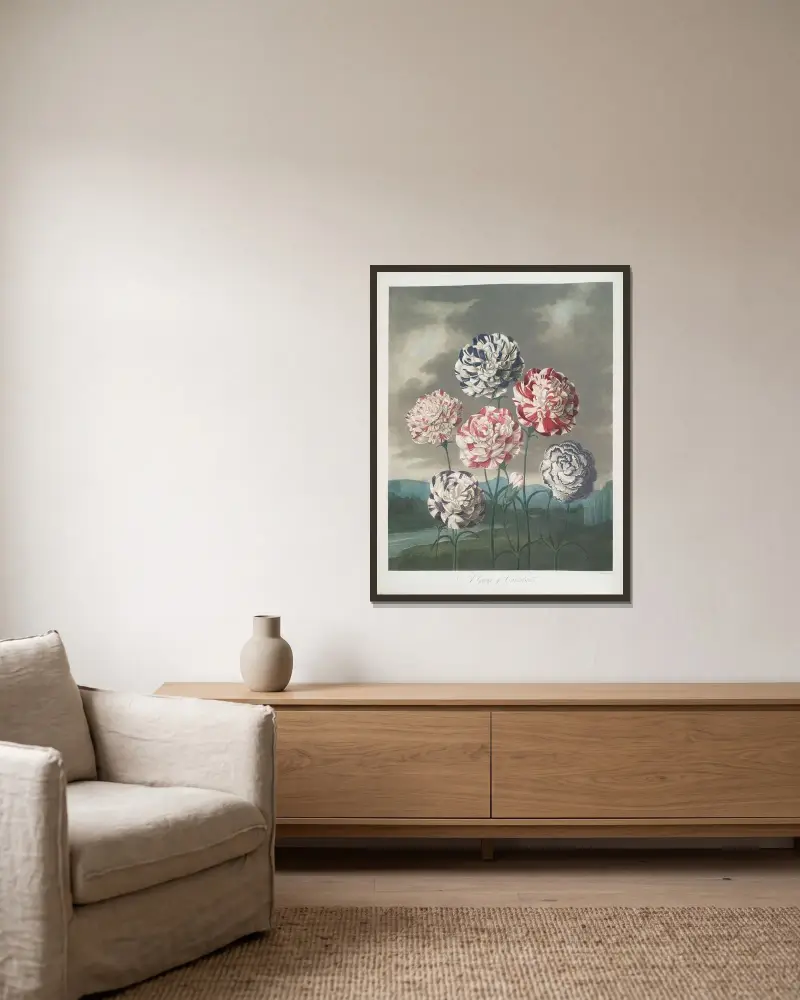 Eine Gruppe von Nelken von Robert John Thornton gerahmt an einer Wand