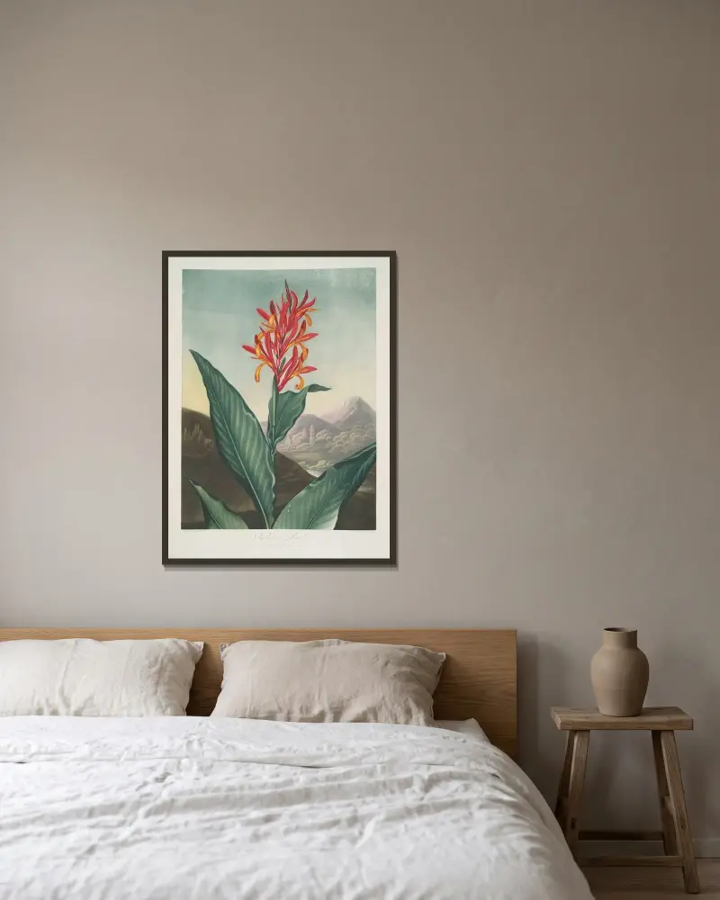 Indian Reed av Robert John Thornton inramad på en vägg