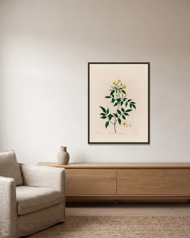 Jasmín (Jasminum, The Jasmine), Robert John Thornton v rámu na stěně