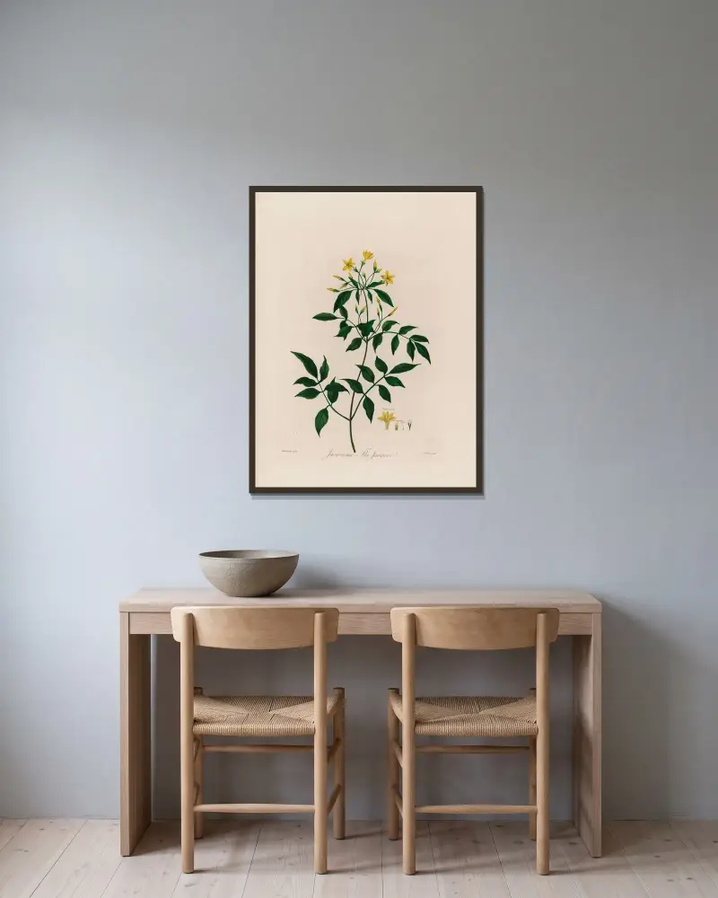 Jasmín (Jasminum, The Jasmine), Robert John Thornton v rámu na stěně