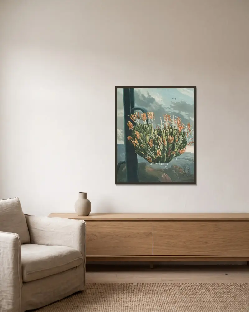 Die Aloe, 1807 von Robert John Thornton gerahmt an einer Wand