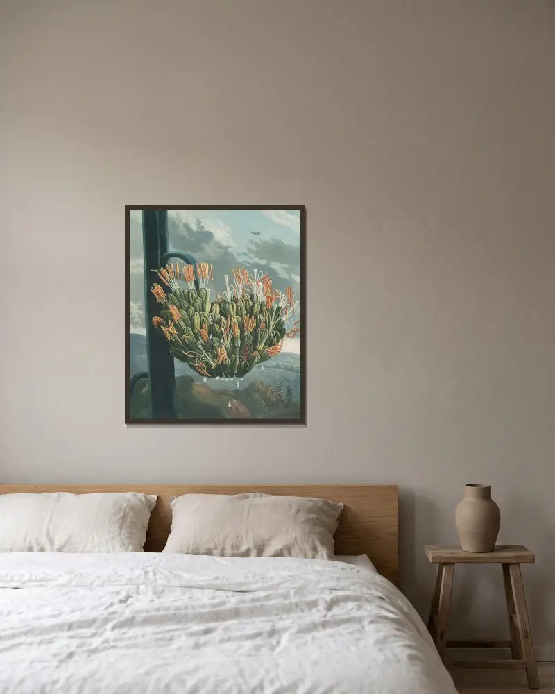 Die Aloe, 1807 von Robert John Thornton gerahmt an einer Wand