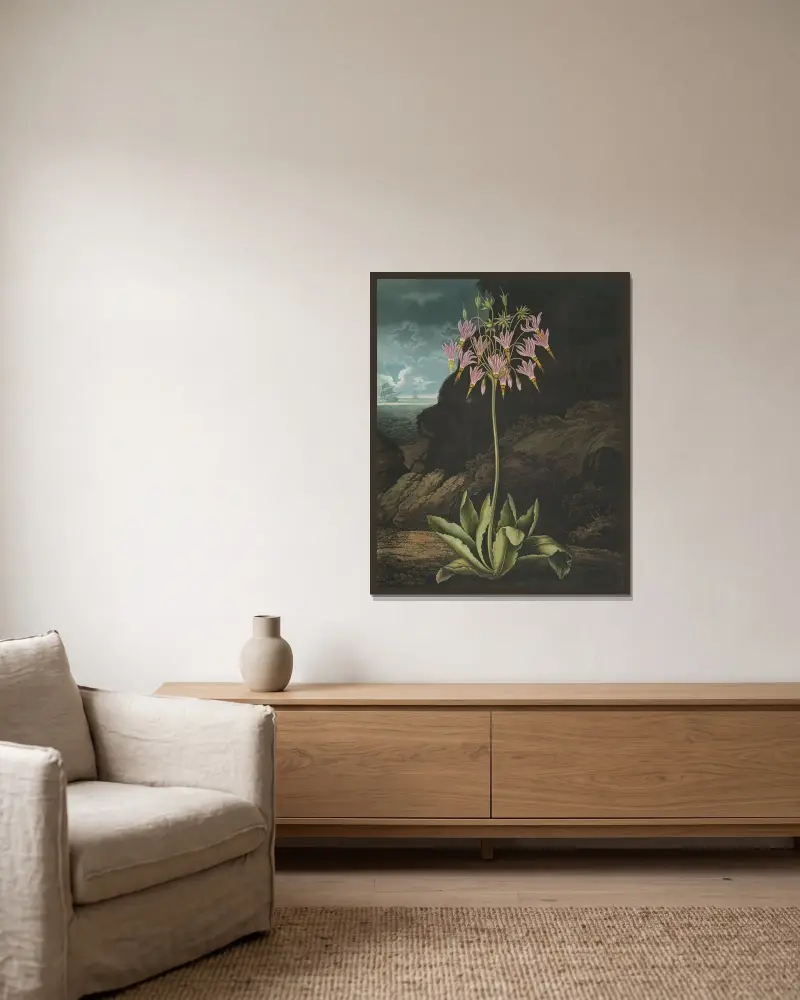 Die amerikanische Schlüsselblume, 1807 von Robert John Thornton gerahmt an einer Wand