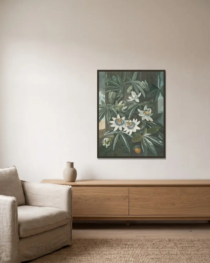 Die blaue Passionsblume, 1807 von Robert John Thornton gerahmt an einer Wand