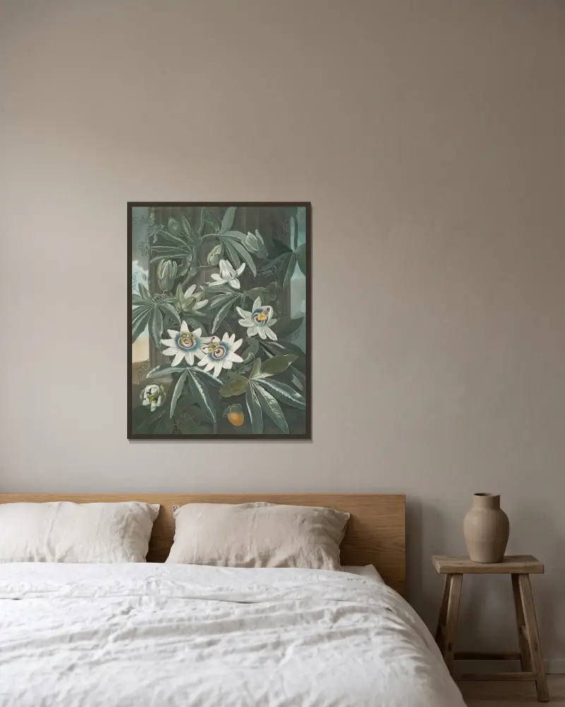 Die blaue Passionsblume, 1807 von Robert John Thornton gerahmt an einer Wand