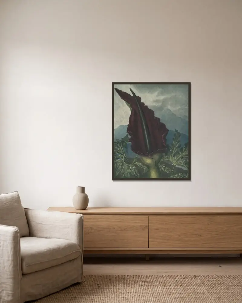 Der Aronstab, 1807 von Robert John Thornton gerahmt an einer Wand