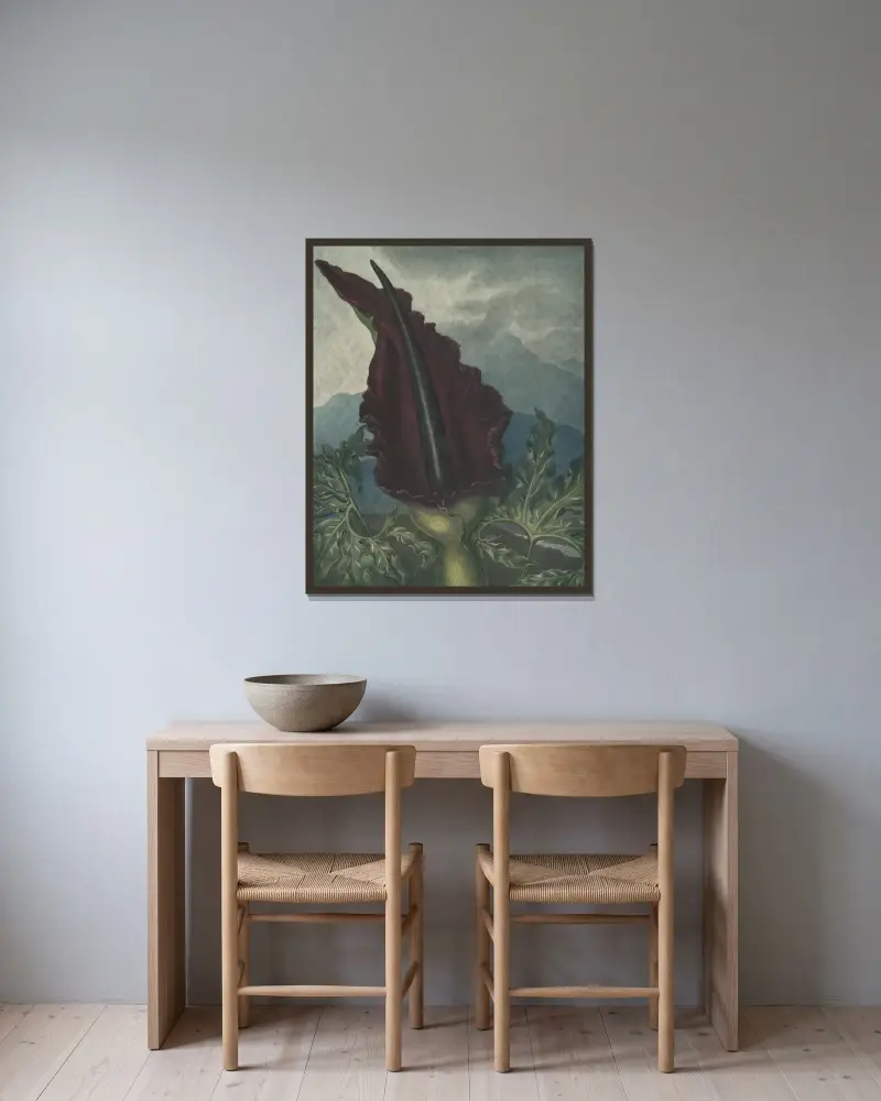 Der Aronstab, 1807 von Robert John Thornton gerahmt an einer Wand