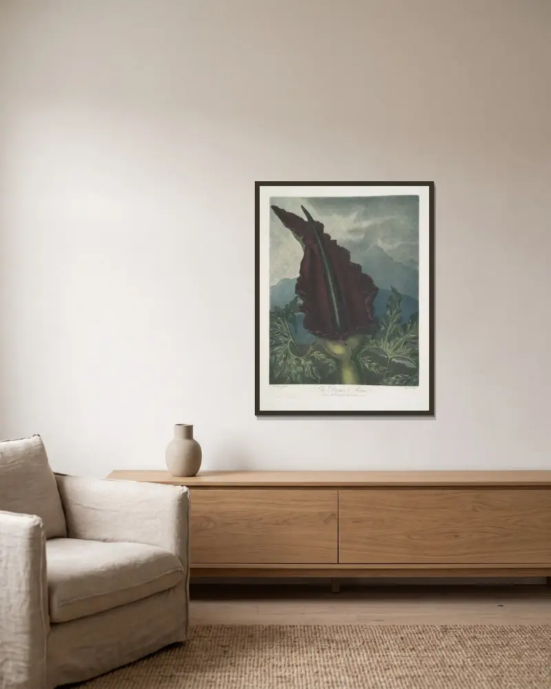 The Dragon Arum av Robert John Thornton inramad på en vägg