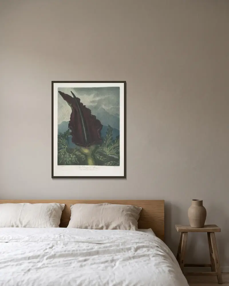 The Dragon Arum av Robert John Thornton inramad på en vägg