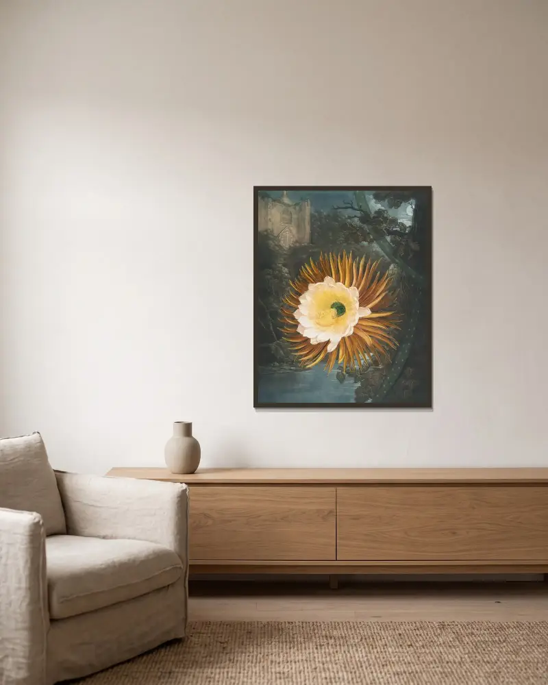 Die Nachtblühende Cereus von Robert John Thornton gerahmt an einer Wand