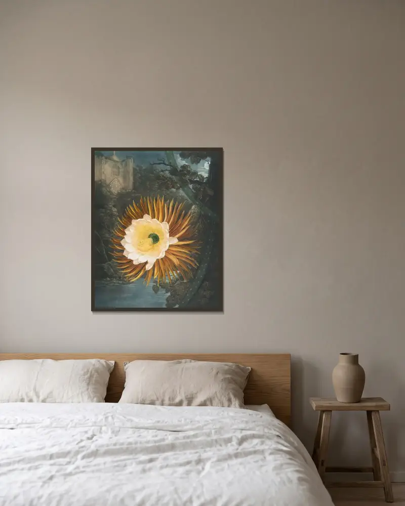 Die Nachtblühende Cereus von Robert John Thornton gerahmt an einer Wand