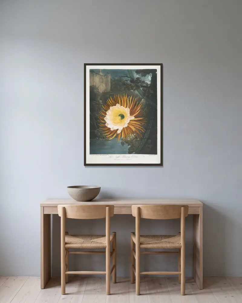 Nattblommande kaktus av Robert John Thornton inramad på en vägg