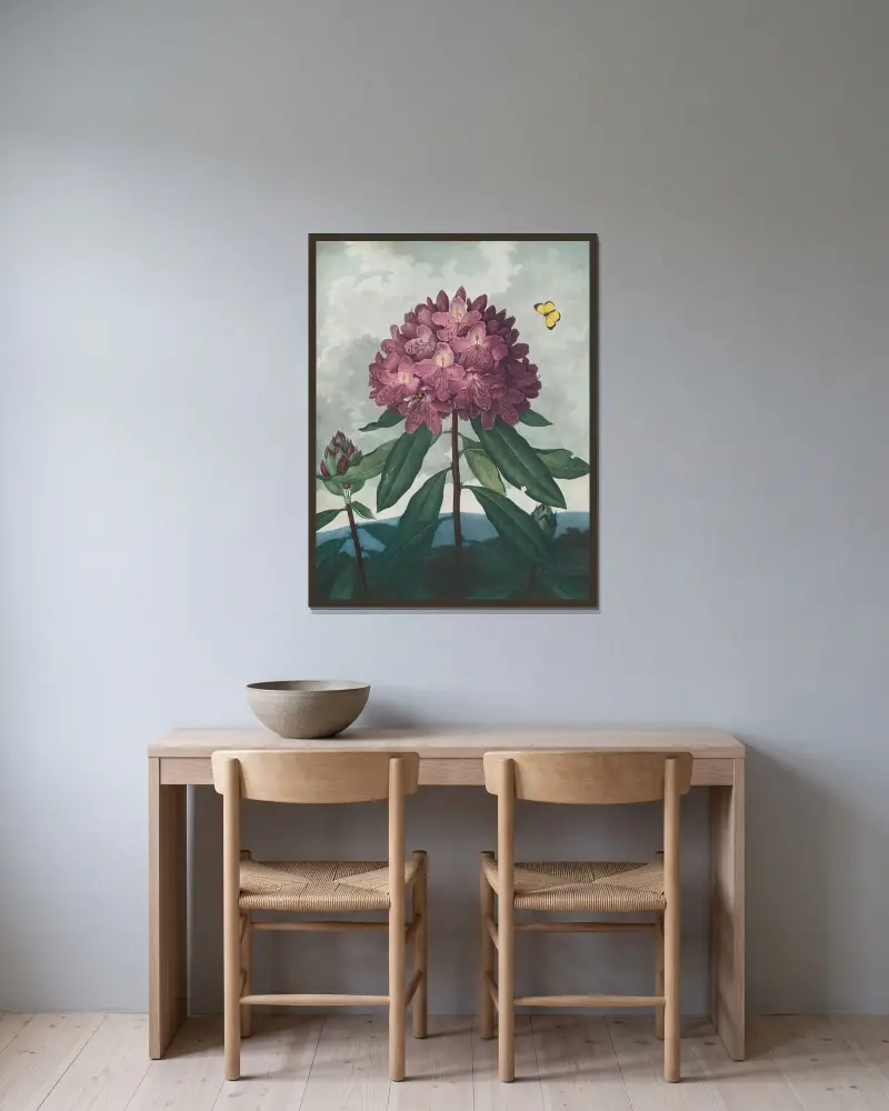 Die pontische Rhododendron von Robert John Thornton gerahmt an einer Wand