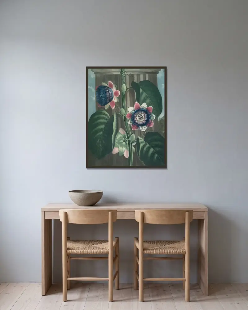 Den fyrkantiga passionsblomman av Robert John Thornton inramad på en vägg