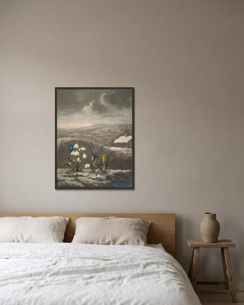 Snödroppen av Robert John Thornton inramad på en vägg