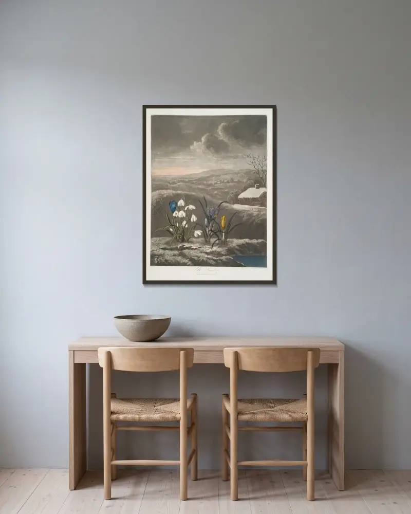 Das Schneeglöckchen, 1799 von Robert John Thornton gerahmt an einer Wand
