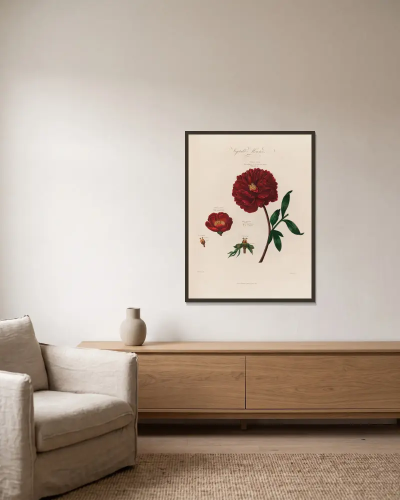 Vegetabilische Monster [Pfingstrosen] von Robert John Thornton gerahmt an einer Wand