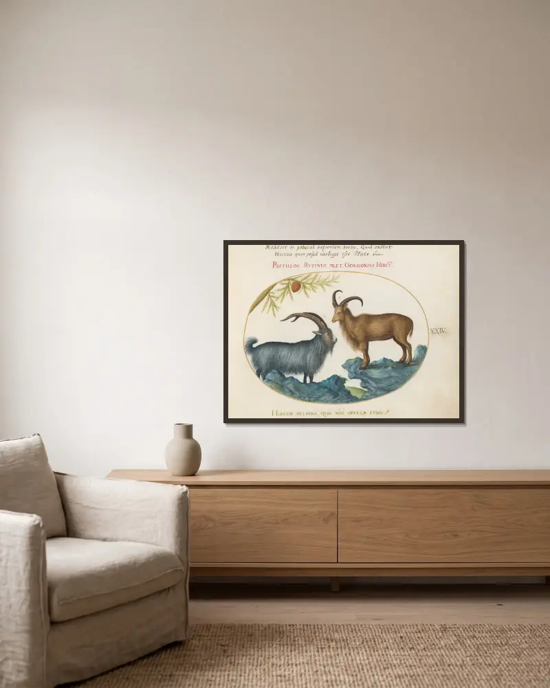 A Wild Goat and a Barbary Sheep av Joris Hoefnagel inramad på en vägg