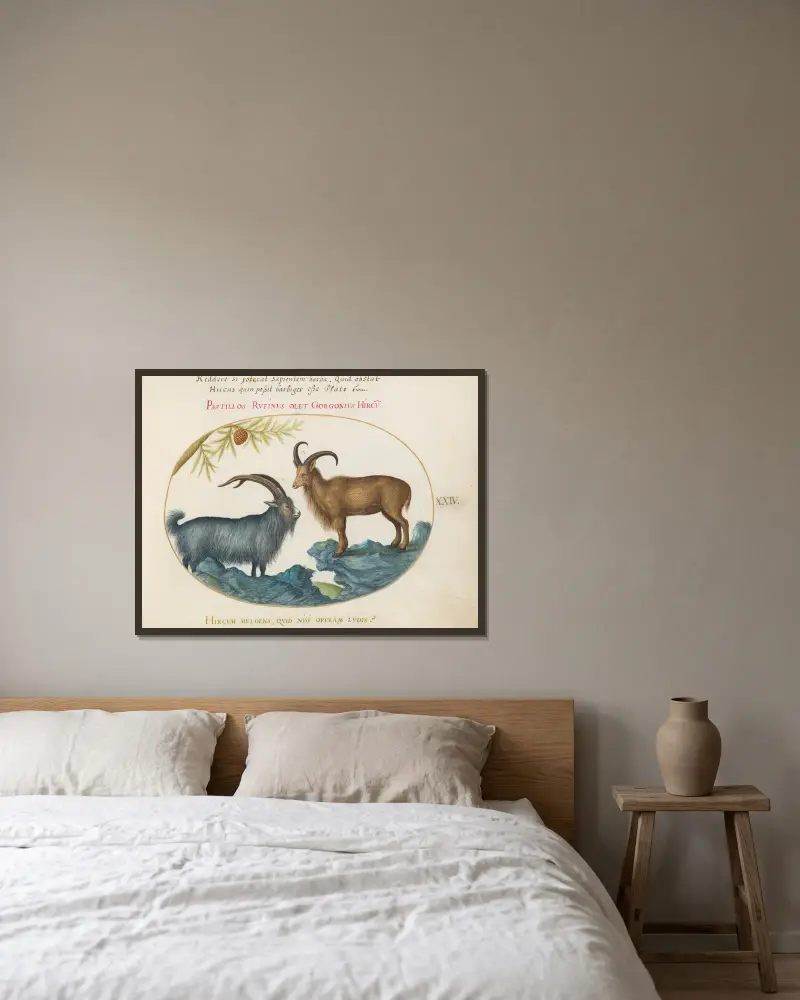 A Wild Goat and a Barbary Sheep av Joris Hoefnagel inramad på en vägg