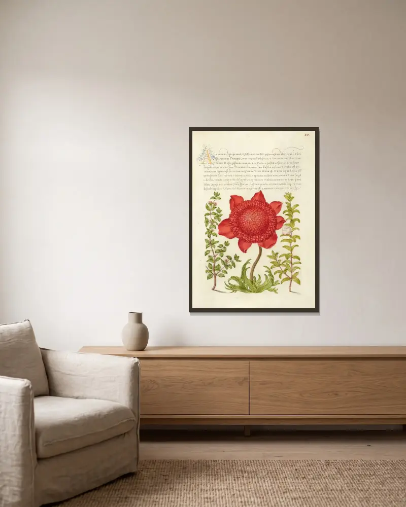 Basil Thyme, Poppy Anemone, and Myrtle av Joris Hoefnagel inramad på en vägg