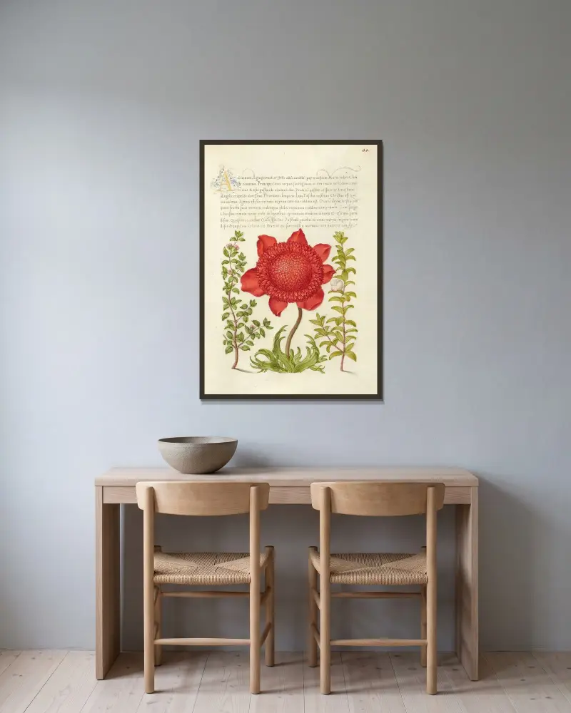 Basil Thyme, Poppy Anemone, and Myrtle av Joris Hoefnagel inramad på en vägg