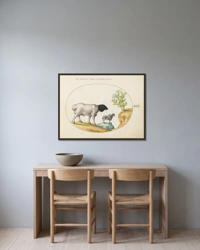 Blackhead Persian Sheep and a Sheep with a Long Tail, with a Cactus av Joris Hoefnagel inramad på en vägg