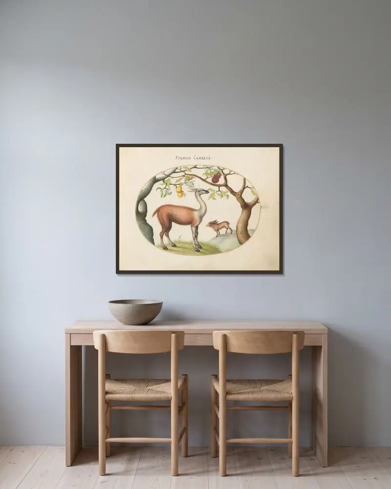 Lama och älg av Joris Hoefnagel inramad på en vägg