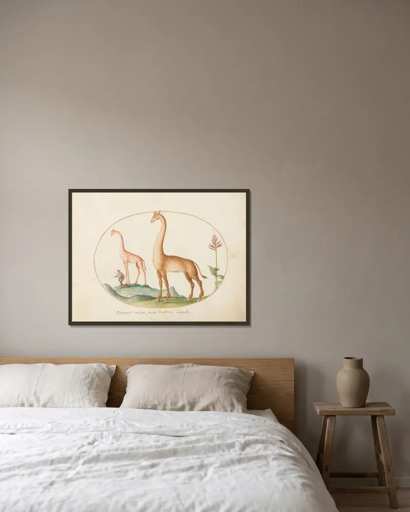Zwei Giraffen mit Wärter von Joris Hoefnagel gerahmt an einer Wand