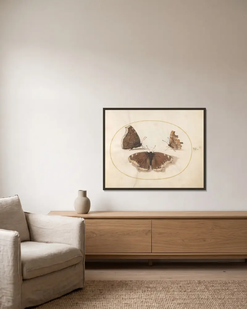 Plate 06; Two Views of a Mourning Cloak (Camberwell Beauty) Butterfly with a Comma Butterfly av Joris Hoefnagel inramad på en vägg