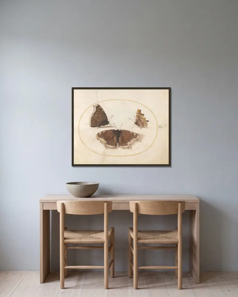 Plate 06; Two Views of a Mourning Cloak (Camberwell Beauty) Butterfly with a Comma Butterfly av Joris Hoefnagel inramad på en vägg